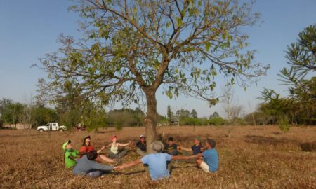 Fundacion Foresar Amor A La Naturaleza