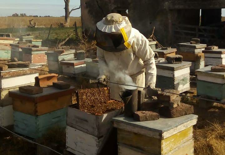 Apicultor En La Cosecha