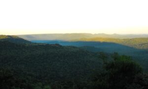 Mirador Ruta Siete