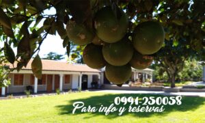 Promo Don Franzini