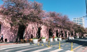 27 De Abril Terciaria