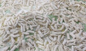 Cavatelli Dos