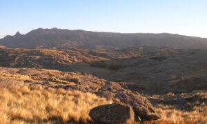Cerro Los Gigantes