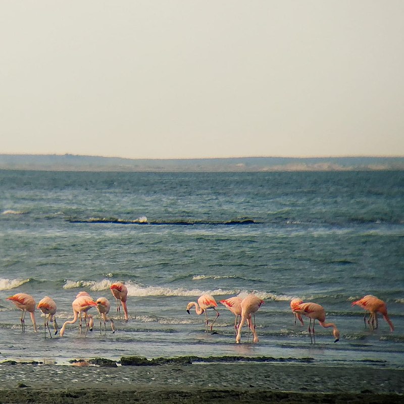 Las Grutas - Balneario