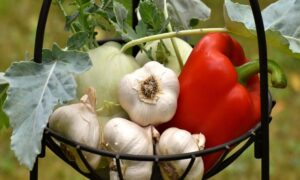 Bagna Cauda Ajo Vegetales