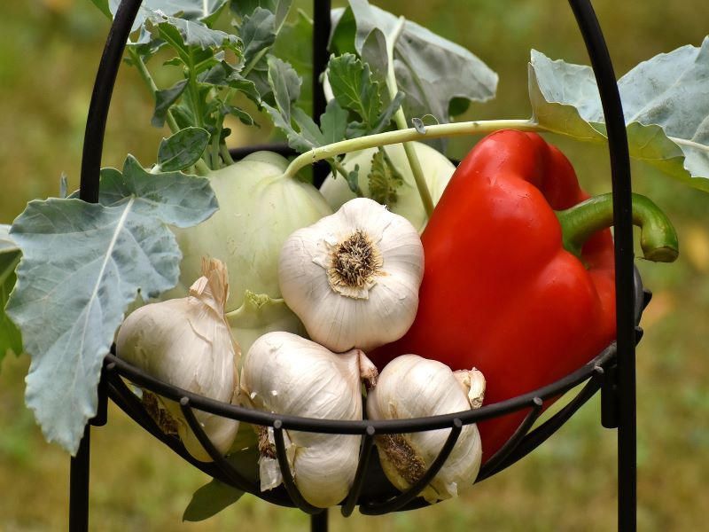 Bagna Cauda Ajo Vegetales