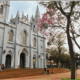 Catedral Slo