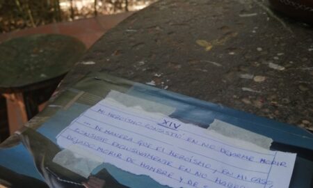 Cita A Ciegas Con Un Libro