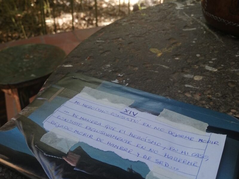 Cita A Ciegas Con Un Libro