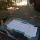 Cita A Ciegas Con Un Libro