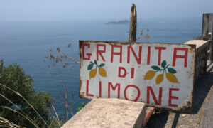 Granita Di Limone