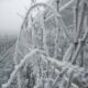 Vino De Hielo Viñedo Congelado