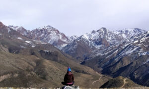 Picos Nevados