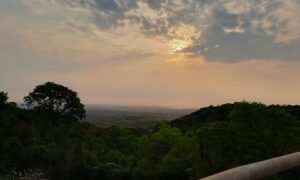 Monte