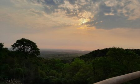 Monte