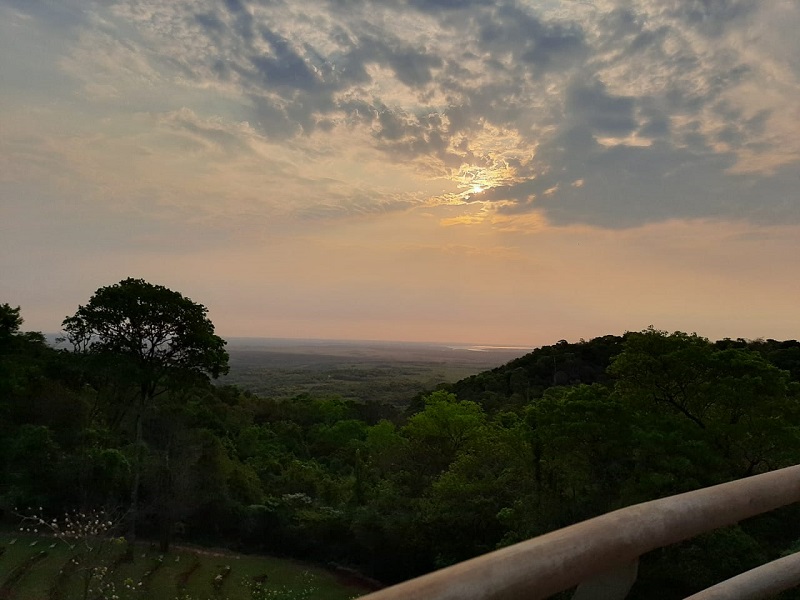 Monte