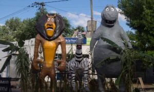Momo Madagascar