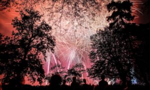Fuegos Artificiales
