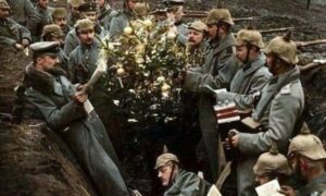 Arbol Navideño En El Combate
