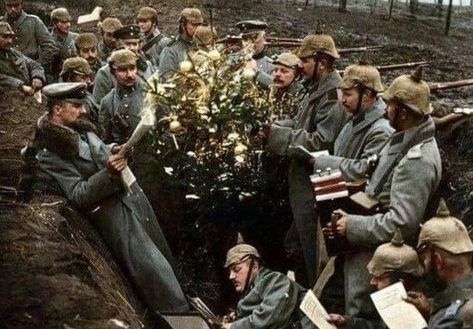 Arbol Navideño En El Combate