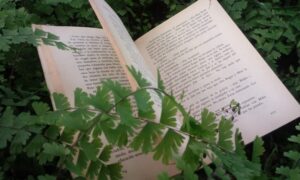 Lectura