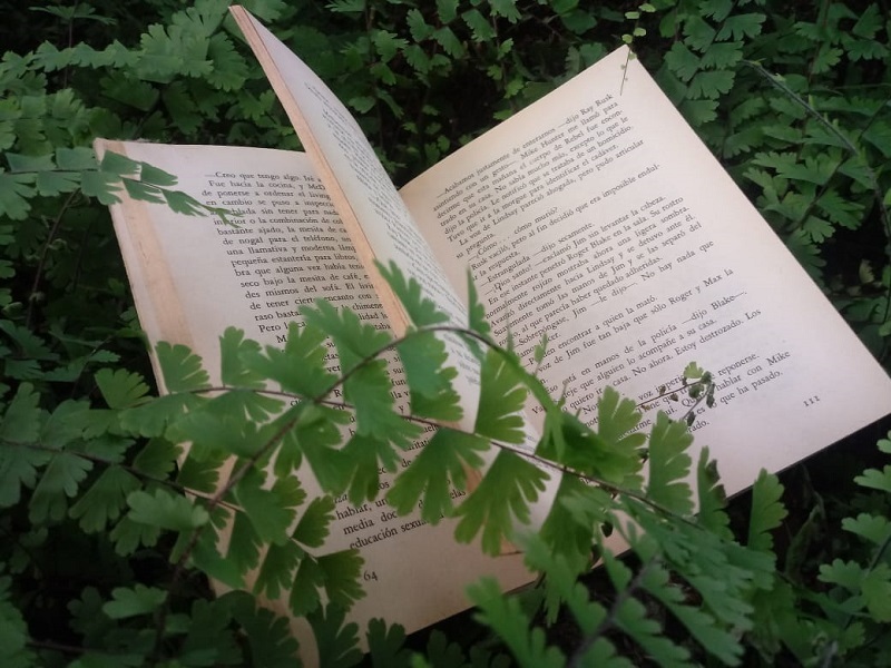 Lectura