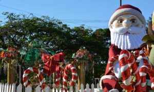 Papa Noel De Dia