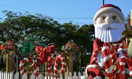 Papa Noel De Dia