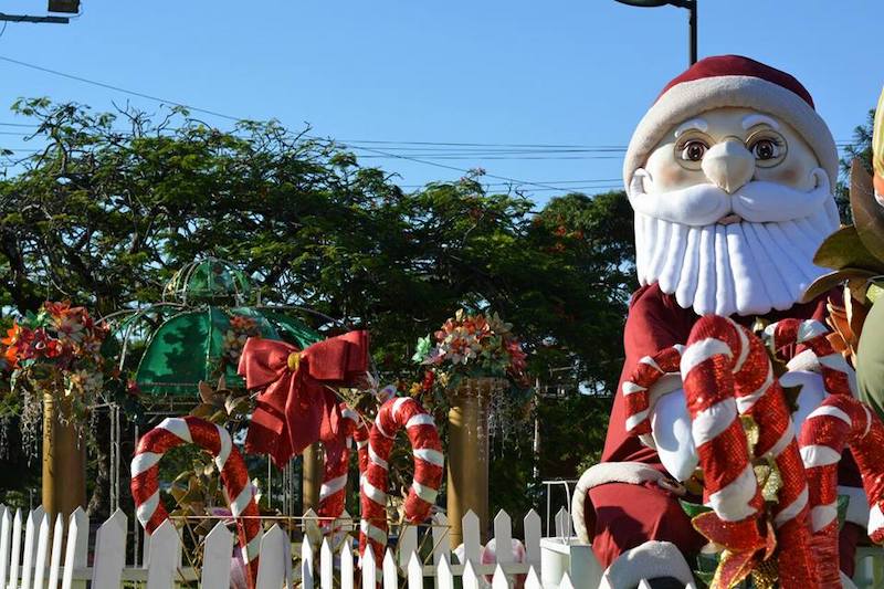 Papa Noel De Dia