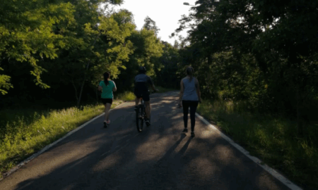 Actividades En El Parque Metropolitano