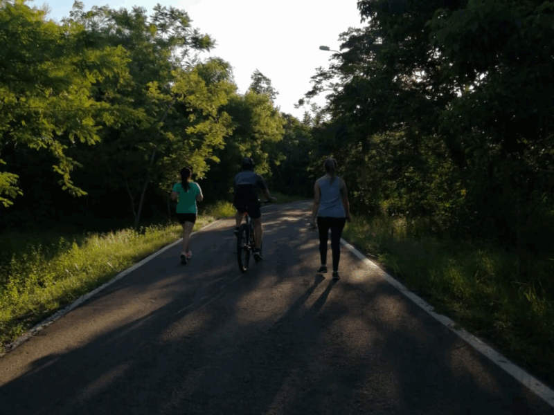 Actividades En El Parque Metropolitano