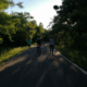 Actividades En El Parque Metropolitano