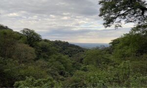 Vista Cerro San Javier