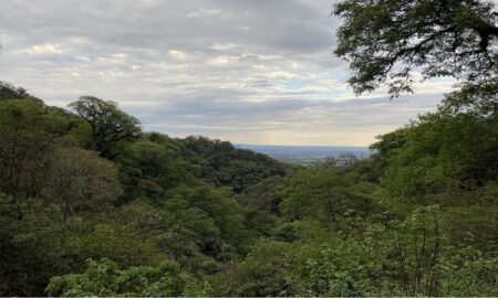 Vista Cerro San Javier