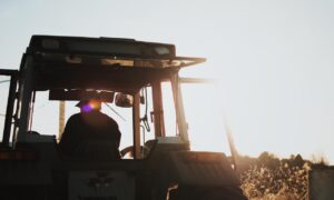 Hombre De Campo