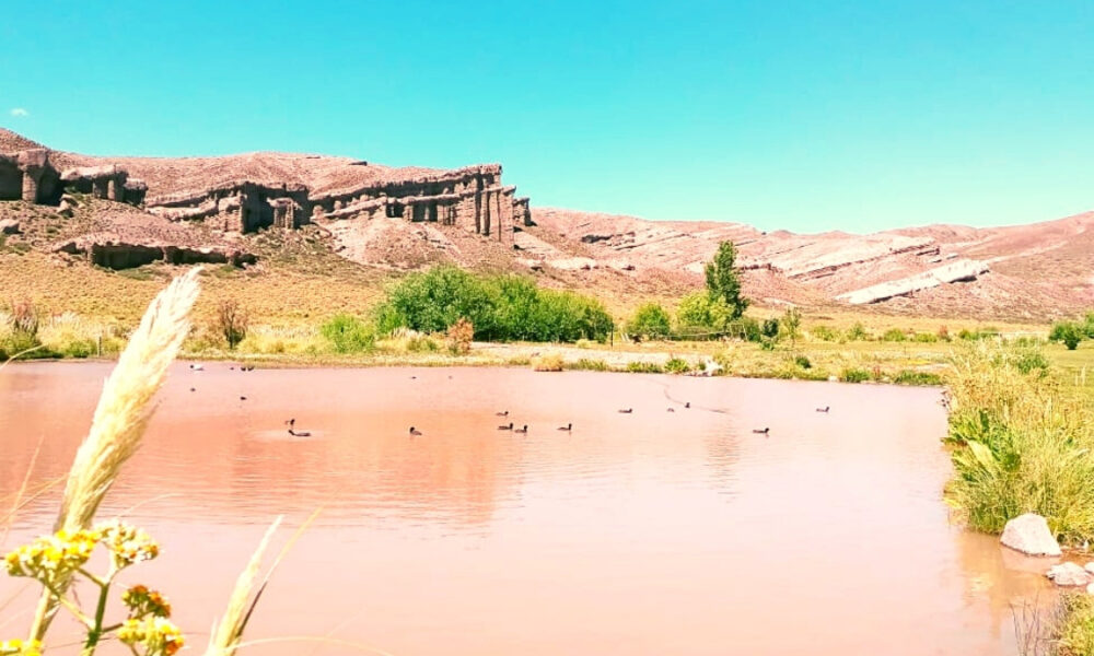 Laguna