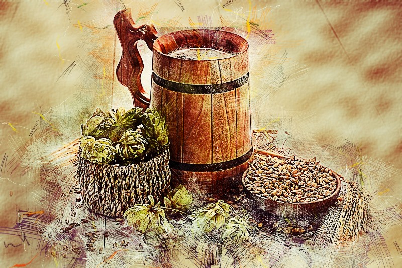 Cerveza Ilustración Lúpulo Y Cebada