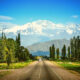 Camino