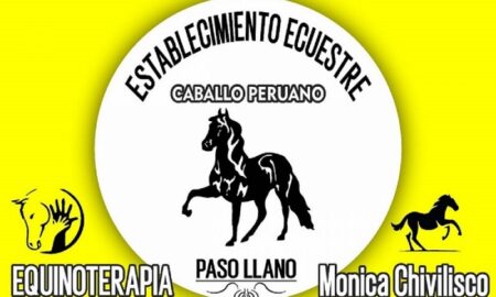 Establecimiento Ecuestre