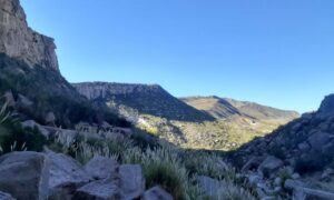Forbes Montaña