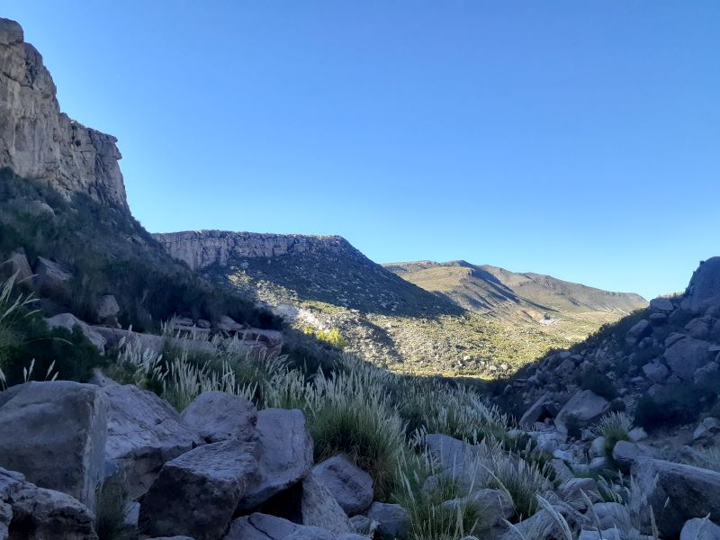 Forbes Montaña