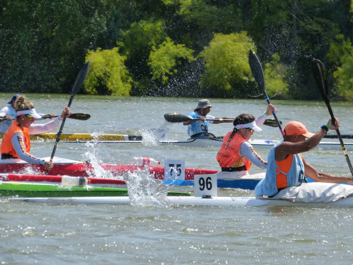 Regata - pelotón