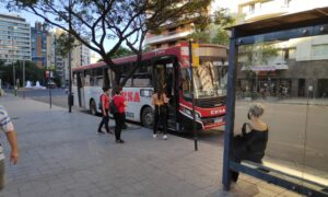 Linea 53