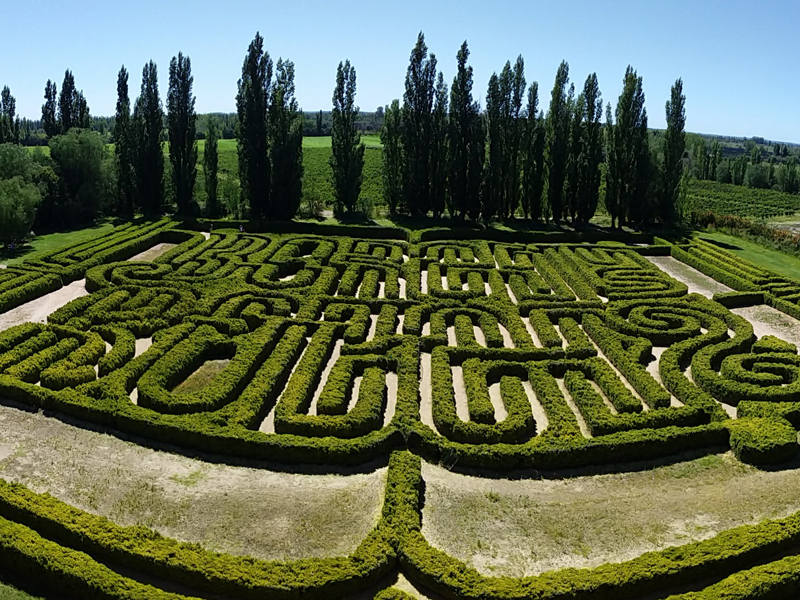 El Laberinto De Borges Panorámica