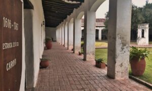 Pasillo De Estancia