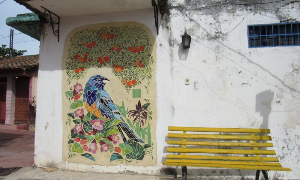 Rinco Chaca