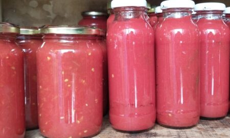 Tomate Conservas De Tomate Envasadas