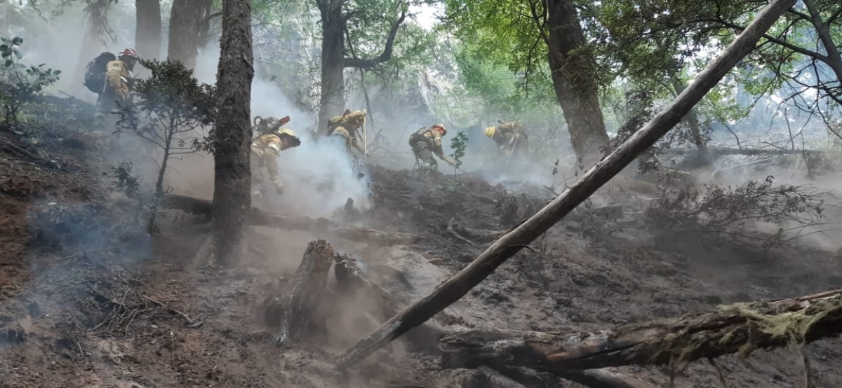 el fuego - Bomberos combatiendo el incendio