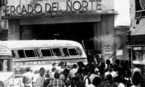 Mercado Del Norte En Tucuman