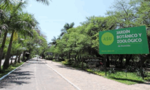 Jardin Botanico De Asuncion